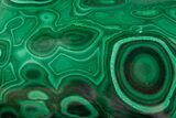 Flowery Polished Malachite Specimen - DR Congo #360788-1